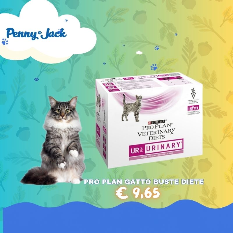 TG mini slide sito HP per mobile – Penny & Jack (12)